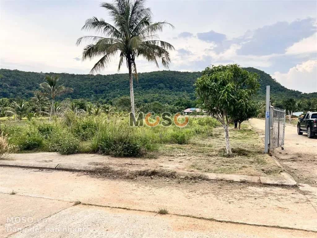 Bán đất Đường Nguyễn Trung Trực Thành phố Phú Quốc, An Giang – giá 3.9 tỷ - ảnh 5