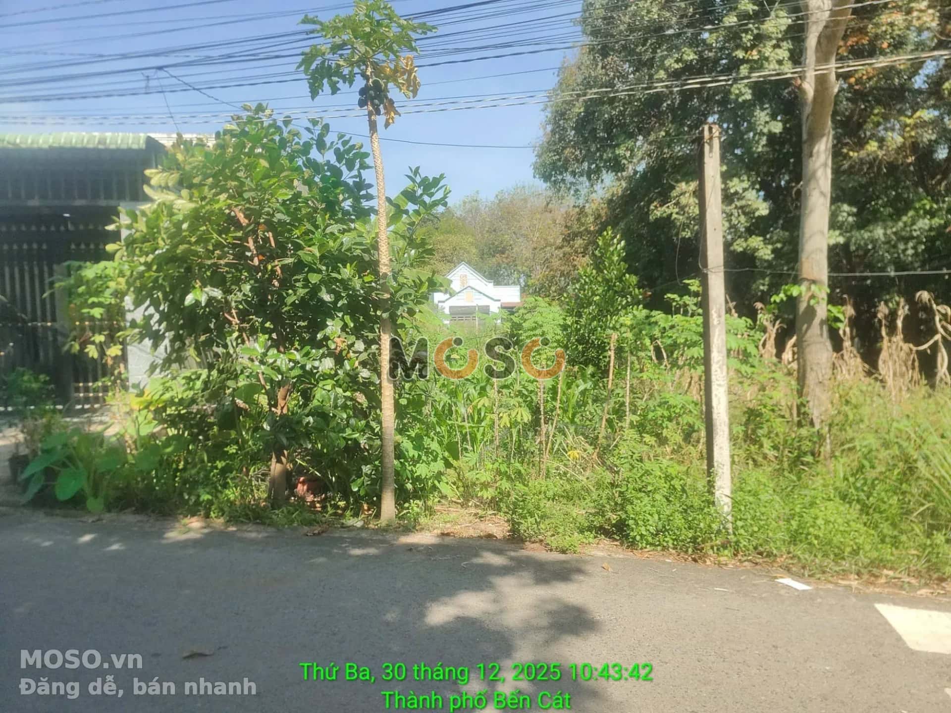 Bán đất Đường Phú An 023 Thành phố Bến Cát, Bình Dương – giá 1.6 tỷ - ảnh 1