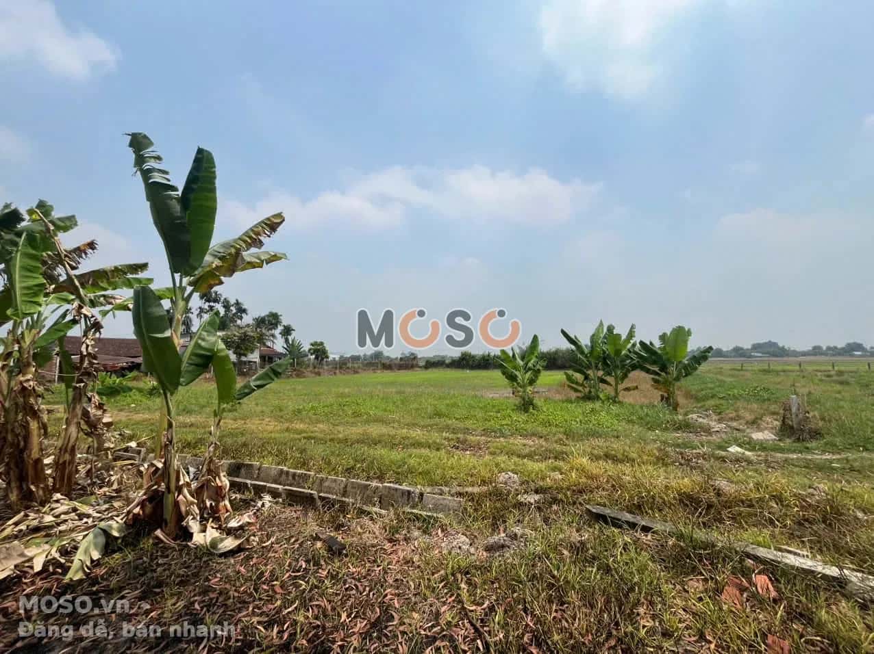 Bán đất Đường Nguyễn Thị Hẹ Huyện Củ Chi, TP.HCM – giá 1.7 tỷ - ảnh 2