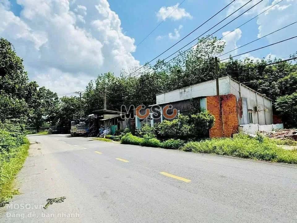 Bán đất Trần Văn Chẩm Huyện Củ Chi, TP.HCM – giá 2.9 tỷ - ảnh 2