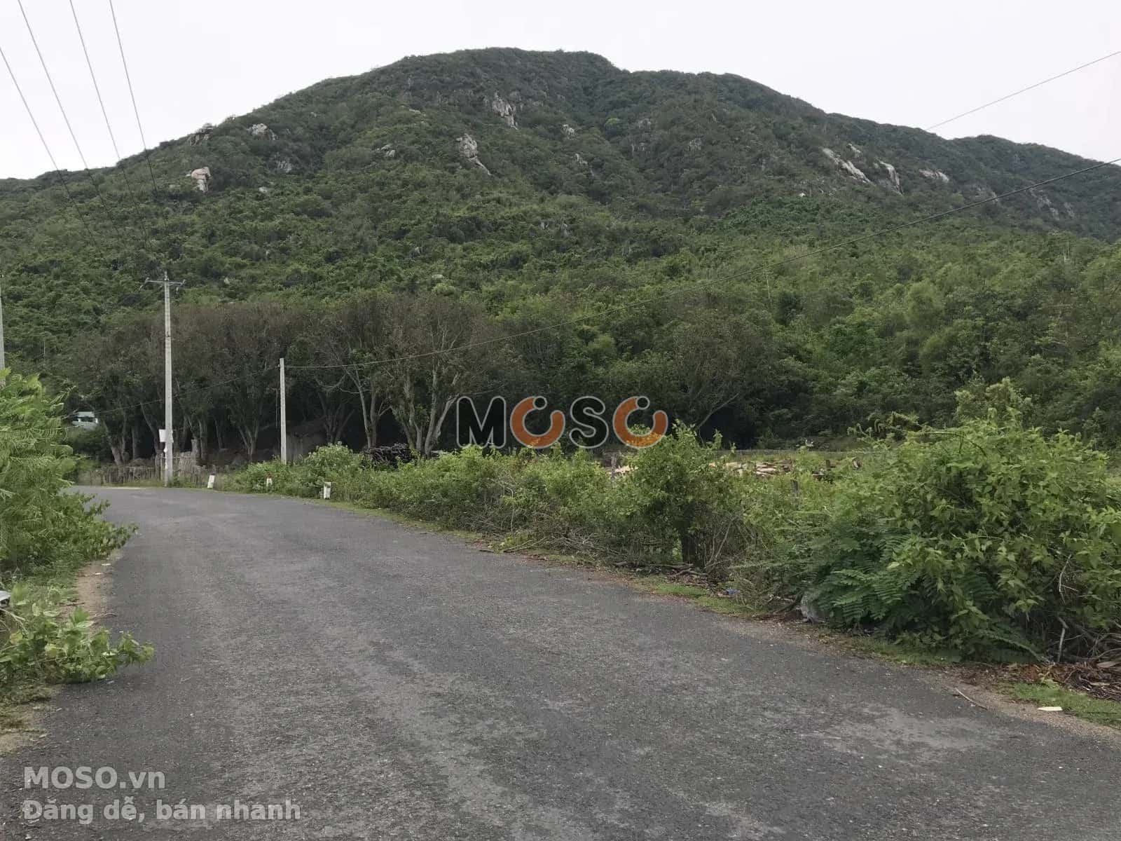 Bán đất đường 652D Thị xã Ninh Hòa, Khánh Hòa – giá 29.8 tỷ - ảnh 3