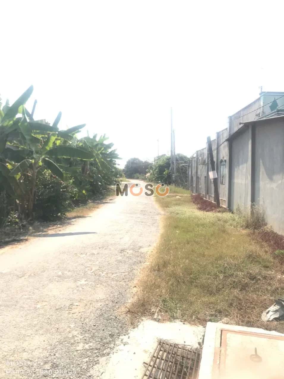 Bán đất Ấp Cây Nính Huyện Gò Dầu, Tây Ninh – giá 1.4 tỷ - ảnh 9