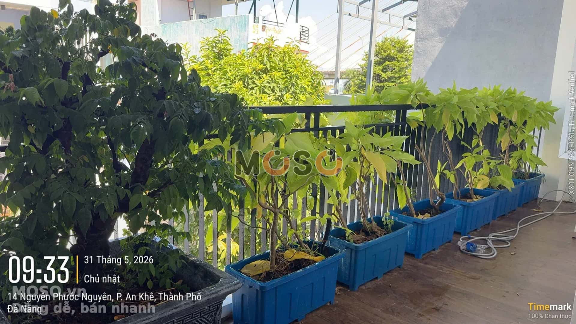 Bán nhà mặt tiền Nguyễn Phước Nguyên Quận Thanh Khê, TP. Đà Nẵng – 4 phòng ngủ, giá 8.5 tỷ - ảnh 6