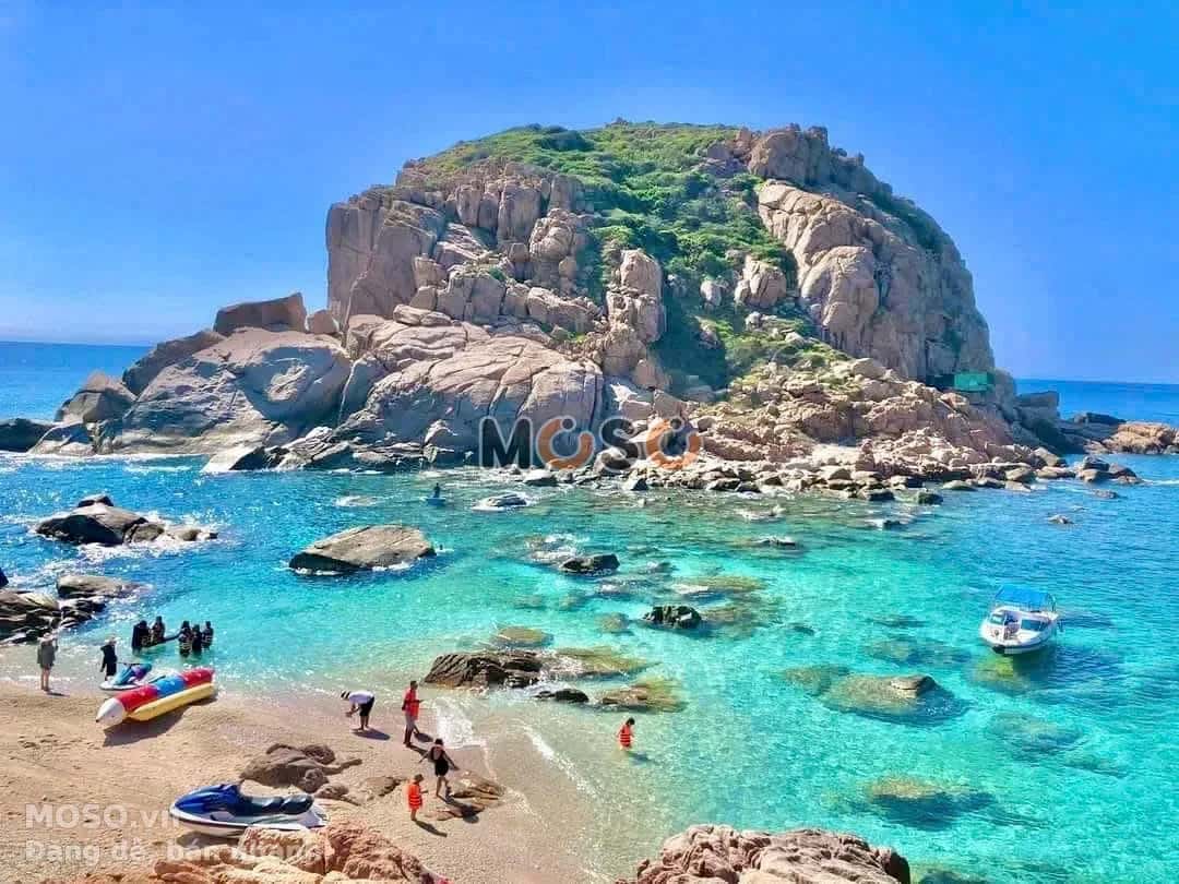 Bán đất Thôn Vĩnh Hy Huyện Ninh Hải, Ninh Thuận – giá 12.4 tỷ - ảnh 5