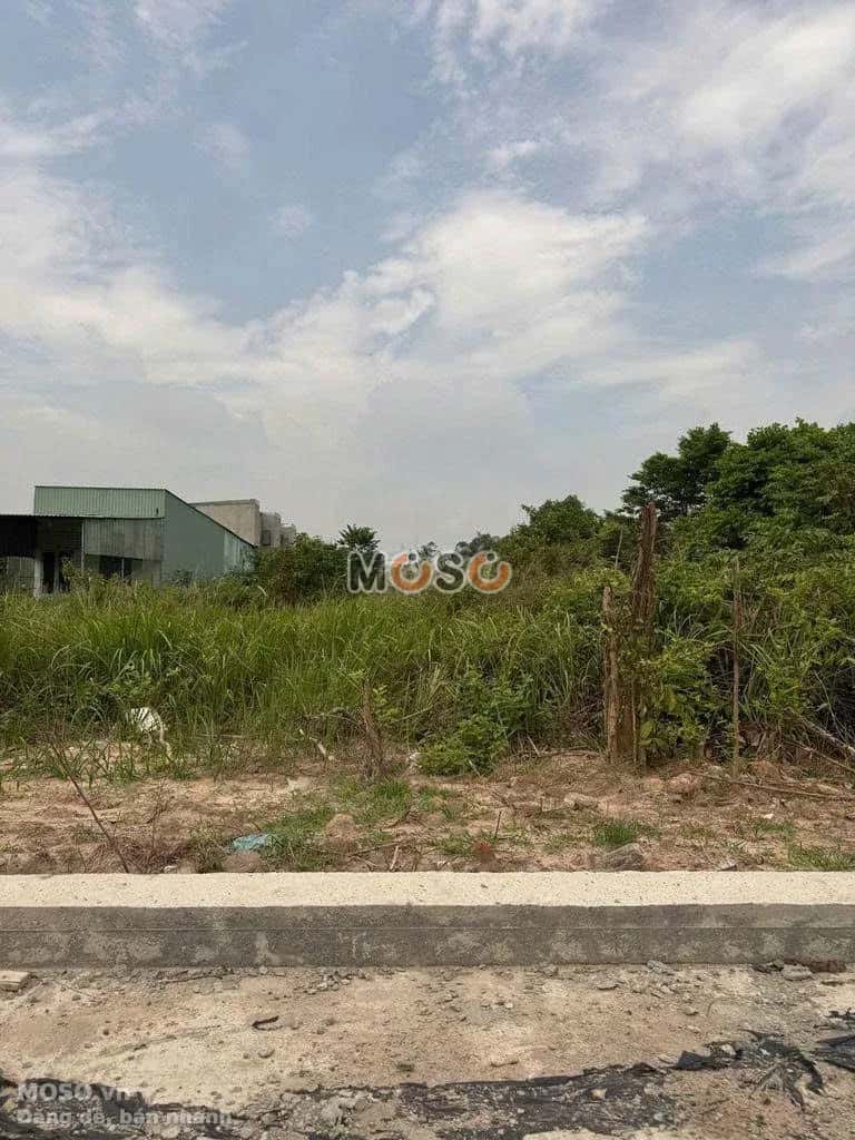 Bán đất Hội Nghĩa 37 Thành phố Tân Uyên, Bình Dương – giá 4.8 tỷ - ảnh 2