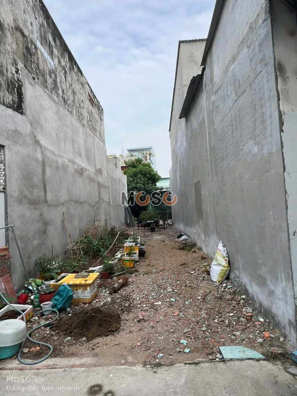 Bán đất hẻm Đường Tân Hòa  Thành phố Dĩ An, Bình Dương – giá 4.3 tỷ - ảnh 3