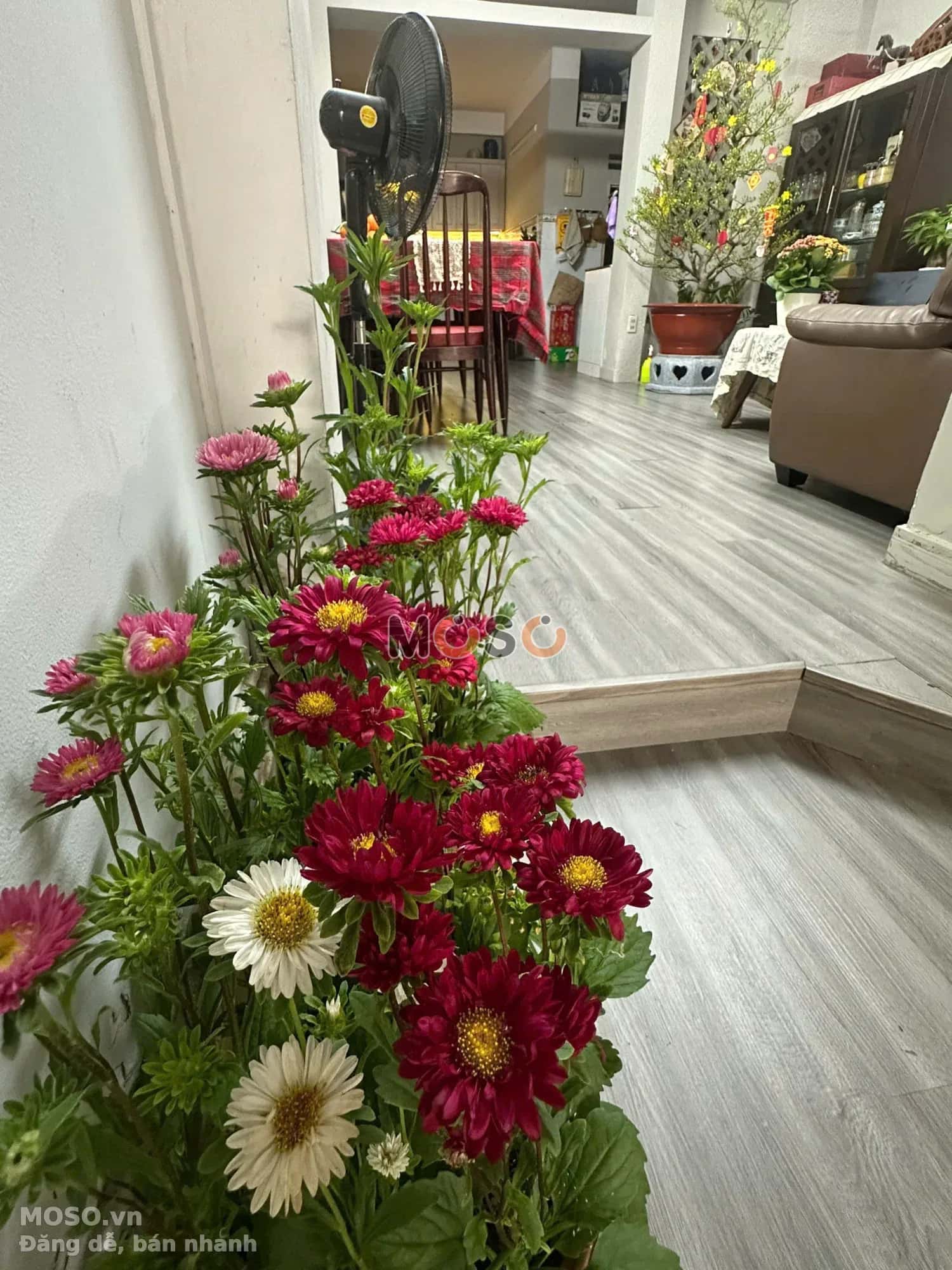 Bán nhà mặt tiền đường số 5, Cư Xá Chu Văn An  Quận Bình Thạnh, TP.HCM – 3 phòng ngủ, giá 15.3 tỷ - ảnh 3