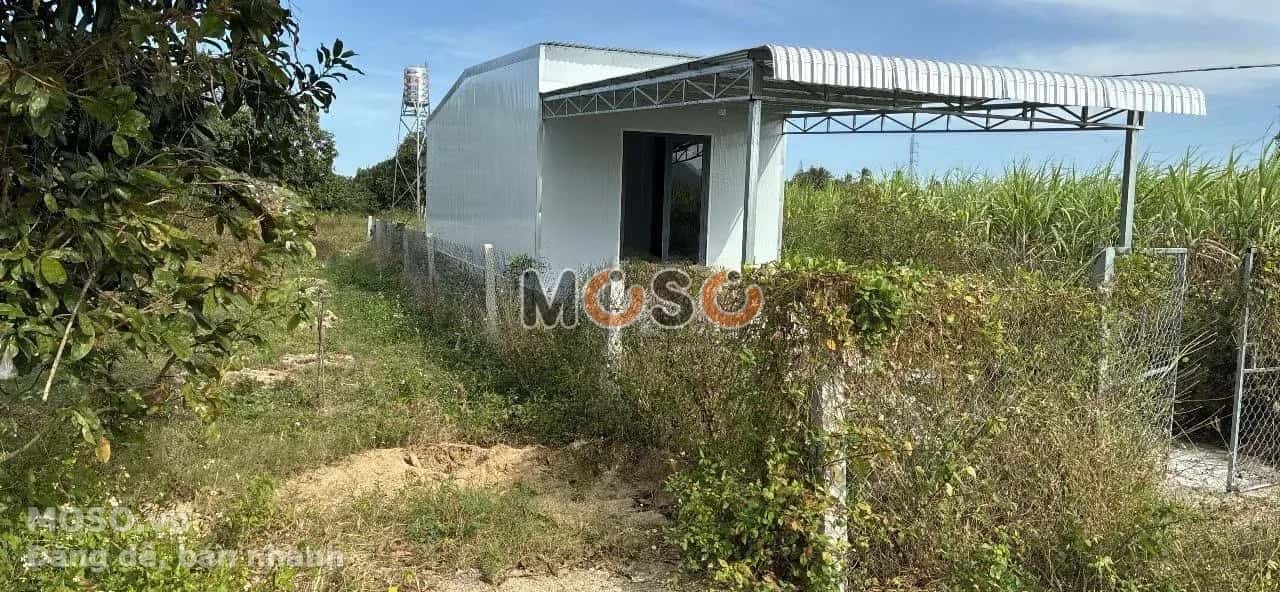 Bán nhà hẻm Thôn Quảng Hoà, đường Nguyễn Công Trứ Thành phố Cam Ranh, Khánh Hòa – 2 phòng ngủ, giá 1.2 tỷ - ảnh 4