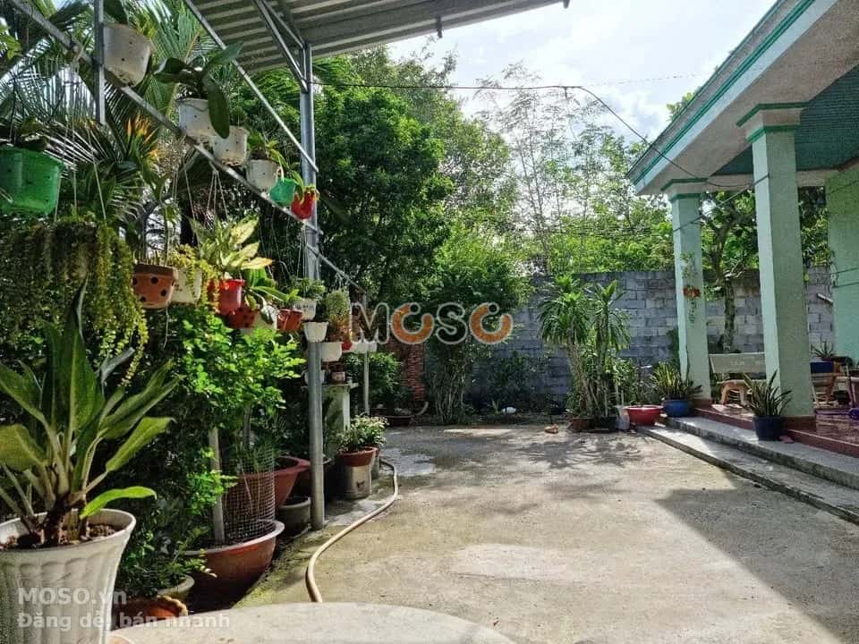 Bán nhà mặt tiền Bùi Thị Điệt Huyện Củ Chi, TP.HCM – 3 phòng ngủ, giá 9.5 tỷ - ảnh 2