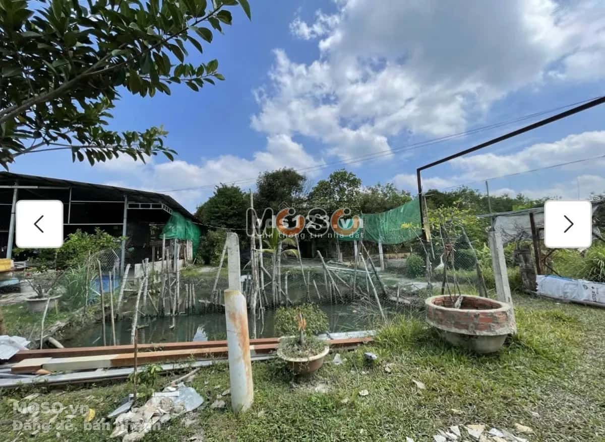 Cho thuê đất Củ Chi, TP.HCM – giá 10 triệu - ảnh 3