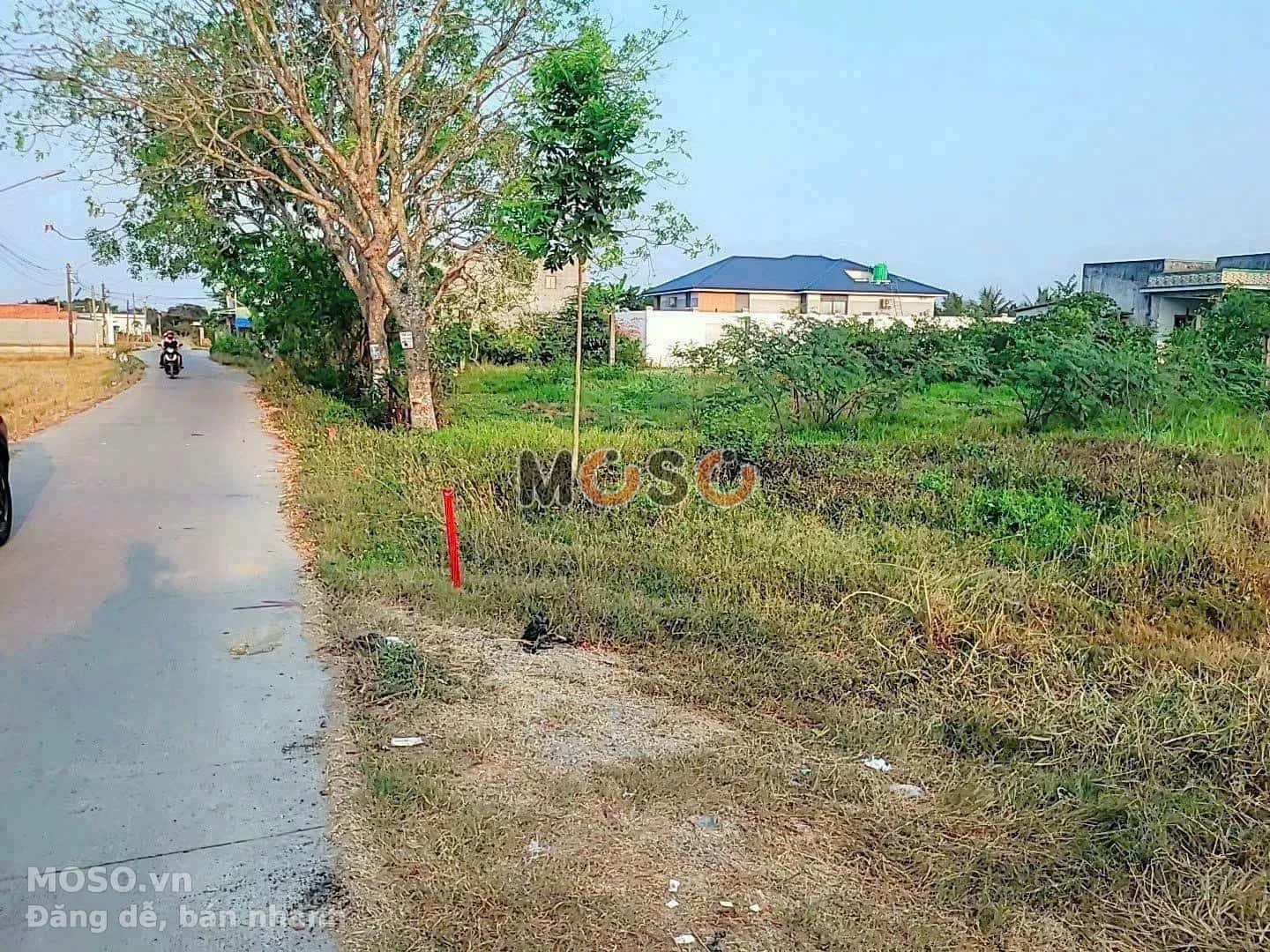 Bán đất đường Ấp 3B Huyện Bến Lức, Long An – giá 1.6 tỷ - ảnh 3