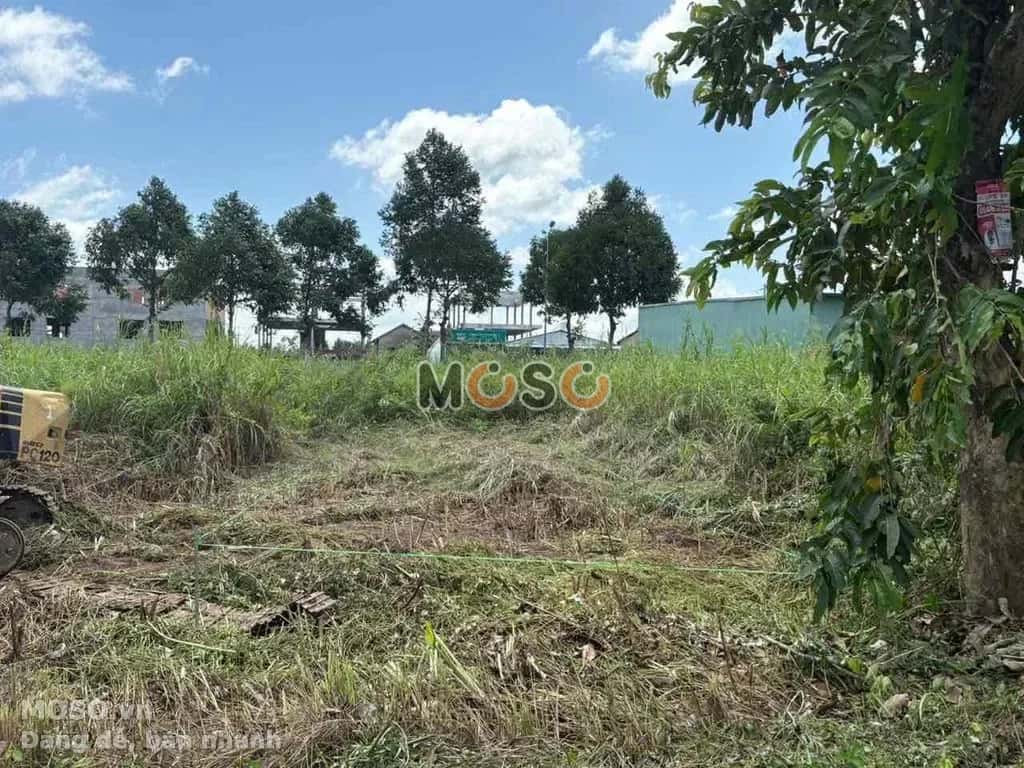 Bán đất Đường D6 Thị xã Bình Minh, Vinh Long – giá 1 tỷ - ảnh 1