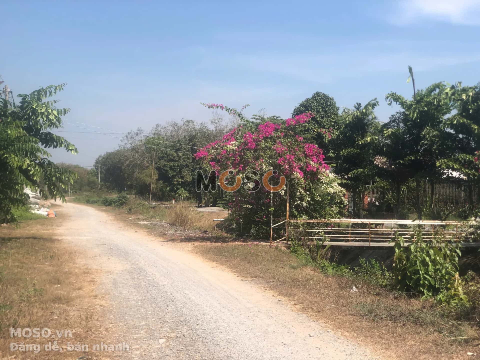 Bán đất Bà Thiên Huyện Củ Chi, TP.HCM – giá 2 tỷ - ảnh 5