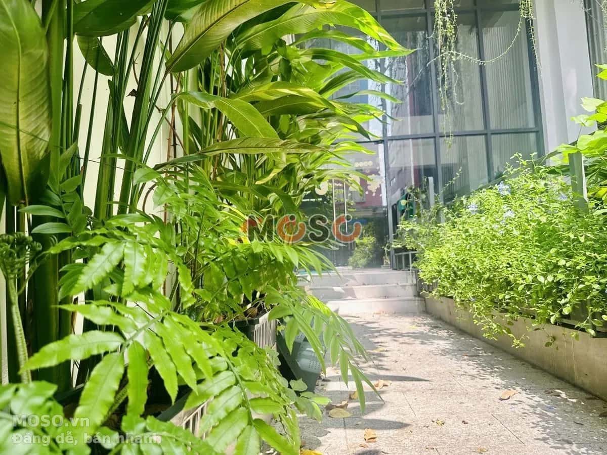 Cho thuê văn phòng Nguyễn Thị Minh Khai Quận 3, TP.HCM – giá 400 triệu - ảnh 2