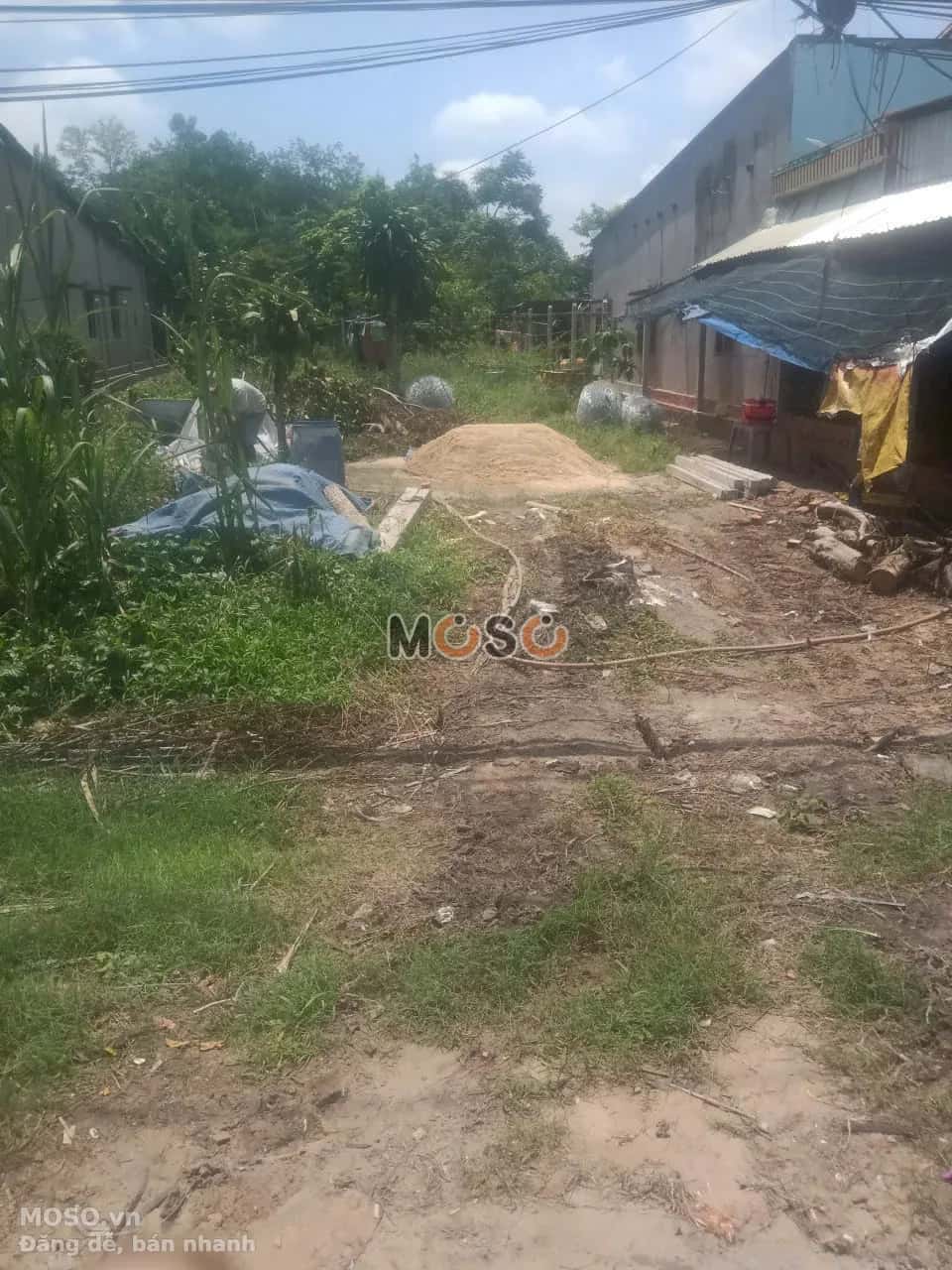 Bán đất đường DT744 Huyện Dầu Tiếng, Bình Dương – giá 3 tỷ - ảnh 1