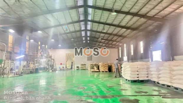Cho thuê kho, nhà xưởng Võ Nguyên Giáp Thành phố Biên Hoà, Đồng Nai – giá 160 triệu - ảnh 3