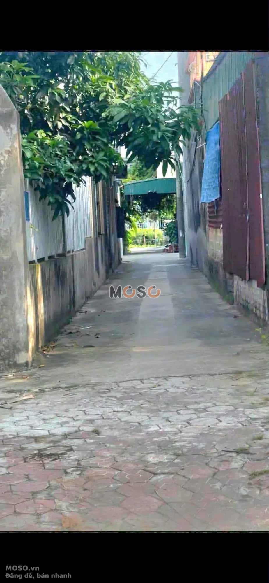 Bán đất Ngõ 100 Mai Độ Thành phố Hải Dương, Hải Dương – giá 1.5 tỷ - ảnh 2