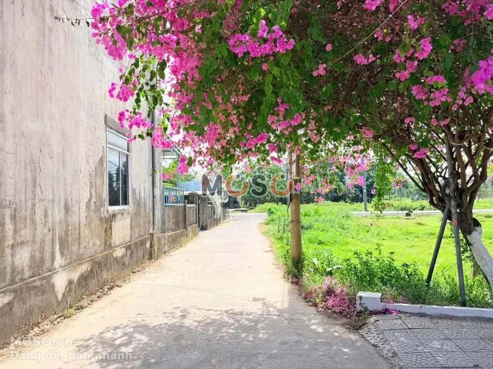 Bán đất  Thôn Phú Sơn 3 Huyện Hòa Vang, TP. Đà Nẵng – giá 1.3 tỷ - ảnh 3