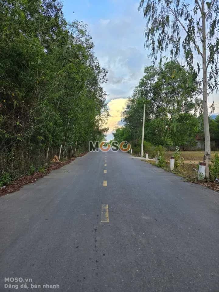 Bán đất Thôn Ninh Ích Thị xã Ninh Hòa, Khánh Hòa – giá 5.2 tỷ - ảnh 3