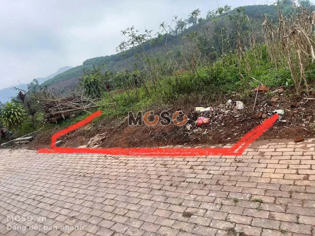 Bán đất TL 173, Thôn Vũ Thịnh Huyện Văn Chấn, Yên Bái – giá 500 triệu - ảnh 1