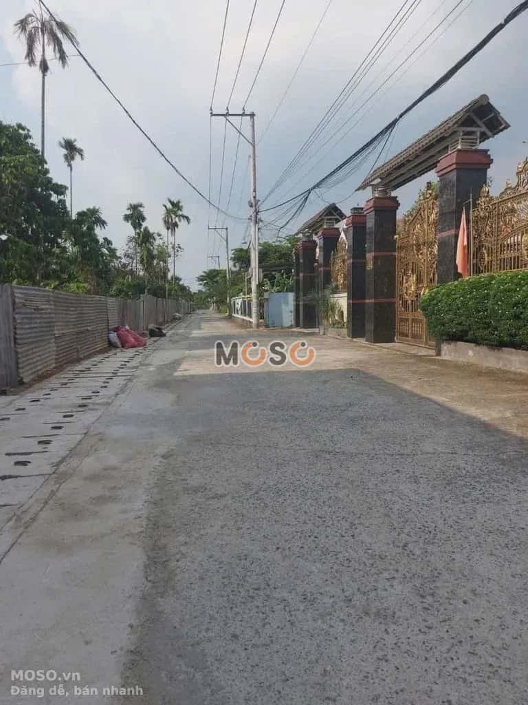 Bán đất Lý Thái Tổ  Huyện Nhơn Trạch, Đồng Nai – giá 7.5 tỷ - ảnh 2