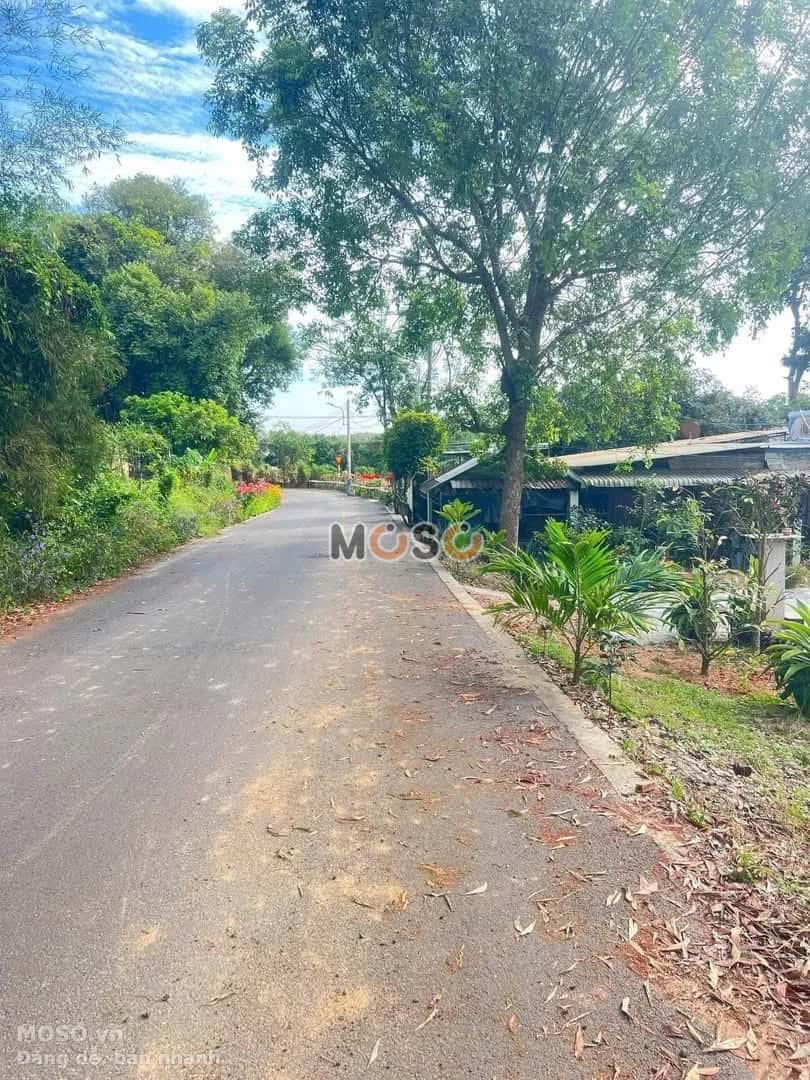 Bán đất Đường An Lập 12 Huyện Dầu Tiếng, Bình Dương – giá 570 triệu - ảnh 2