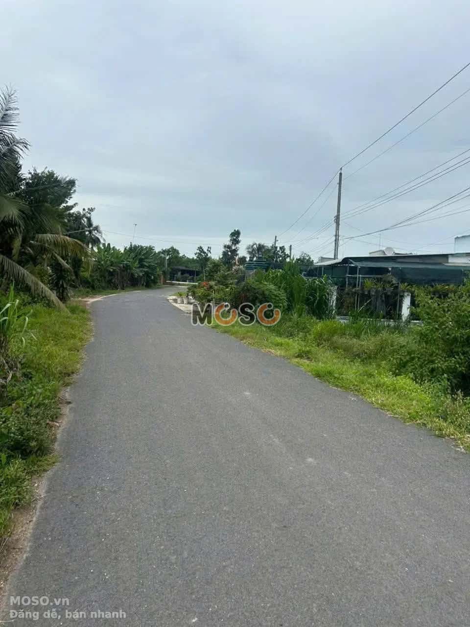Bán đất Đường An Lập 12 Huyện Dầu Tiếng, Bình Dương – giá 570 triệu - ảnh 1