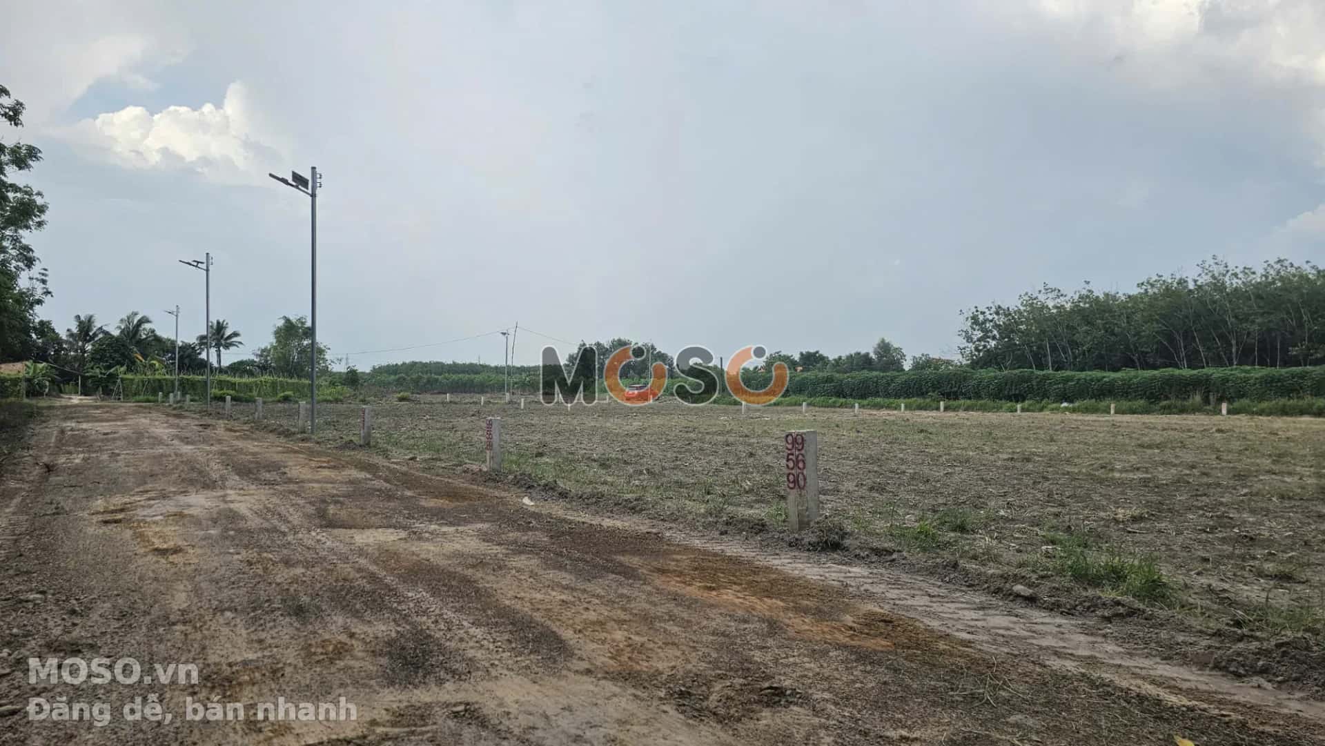 Bán đất Đường Bờ Nam Kênh Tây Thành phố Tây Ninh, Tây Ninh – giá 256 triệu - ảnh 2
