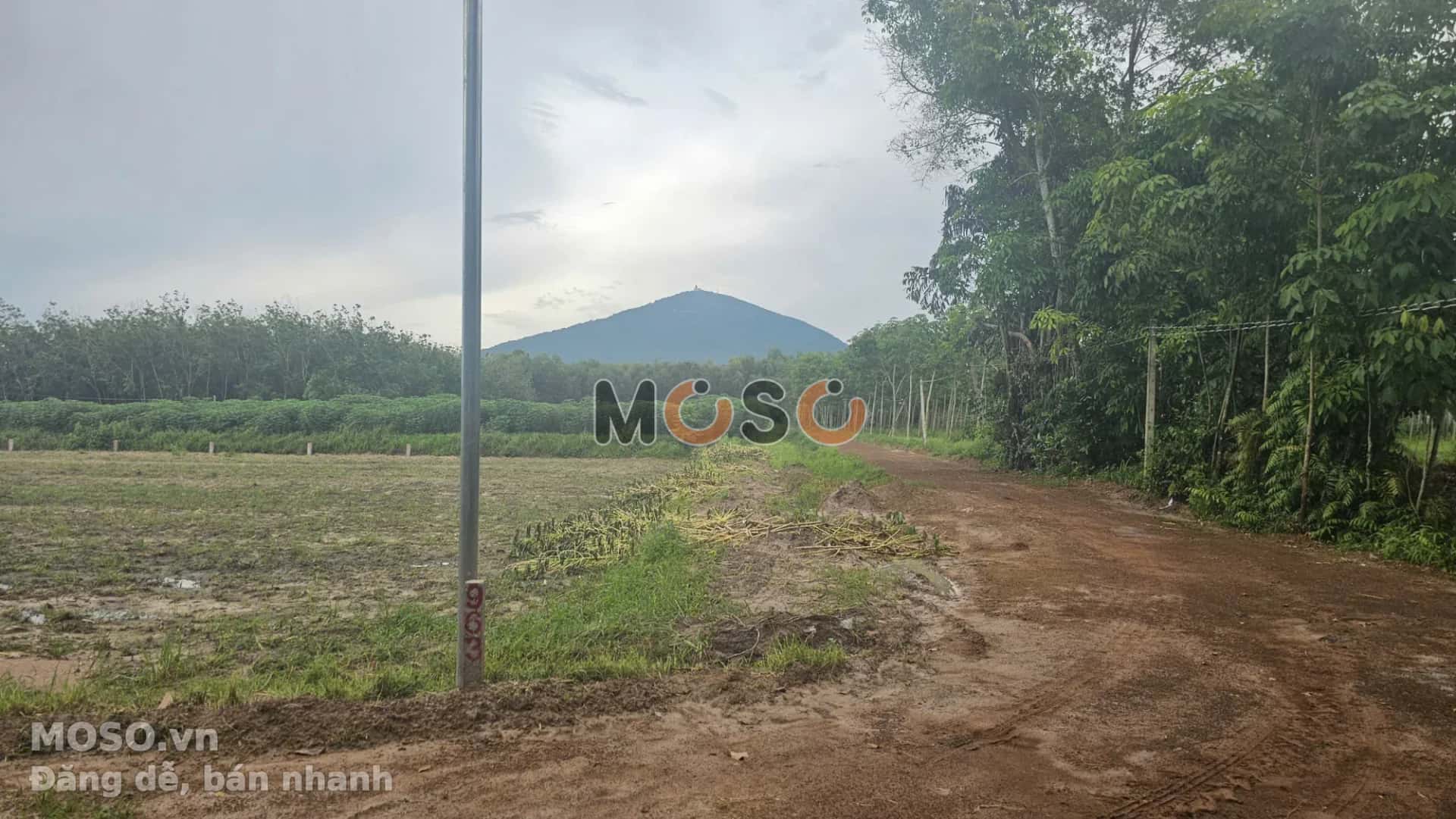 Bán đất Đường Bờ Nam Kênh Tây Thành phố Tây Ninh, Tây Ninh – giá 256 triệu - ảnh 4