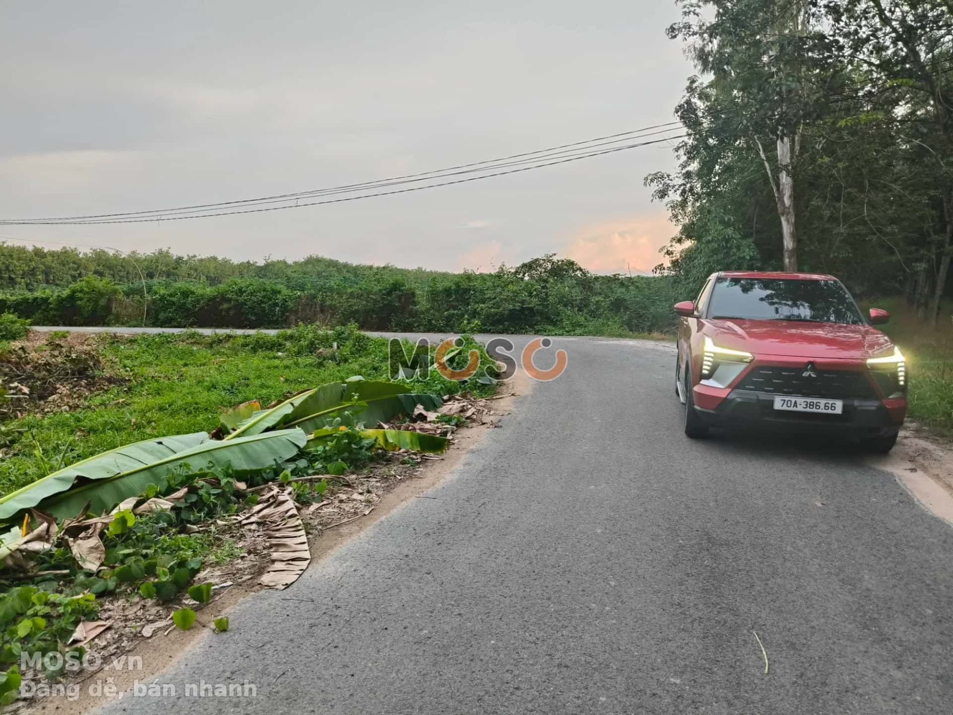 Bán đất đường số 10 Thành phố Tây Ninh, Tây Ninh – giá 250 triệu - ảnh 3