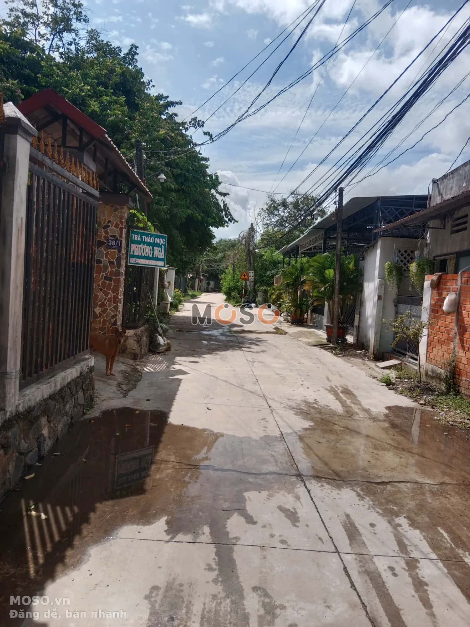 Bán nhà hẻm hẻm 59 đường Cách Mạng Tháng Tám Thành phố Tây Ninh, Tây Ninh – 3 phòng ngủ, giá 3.3 tỷ - ảnh 14