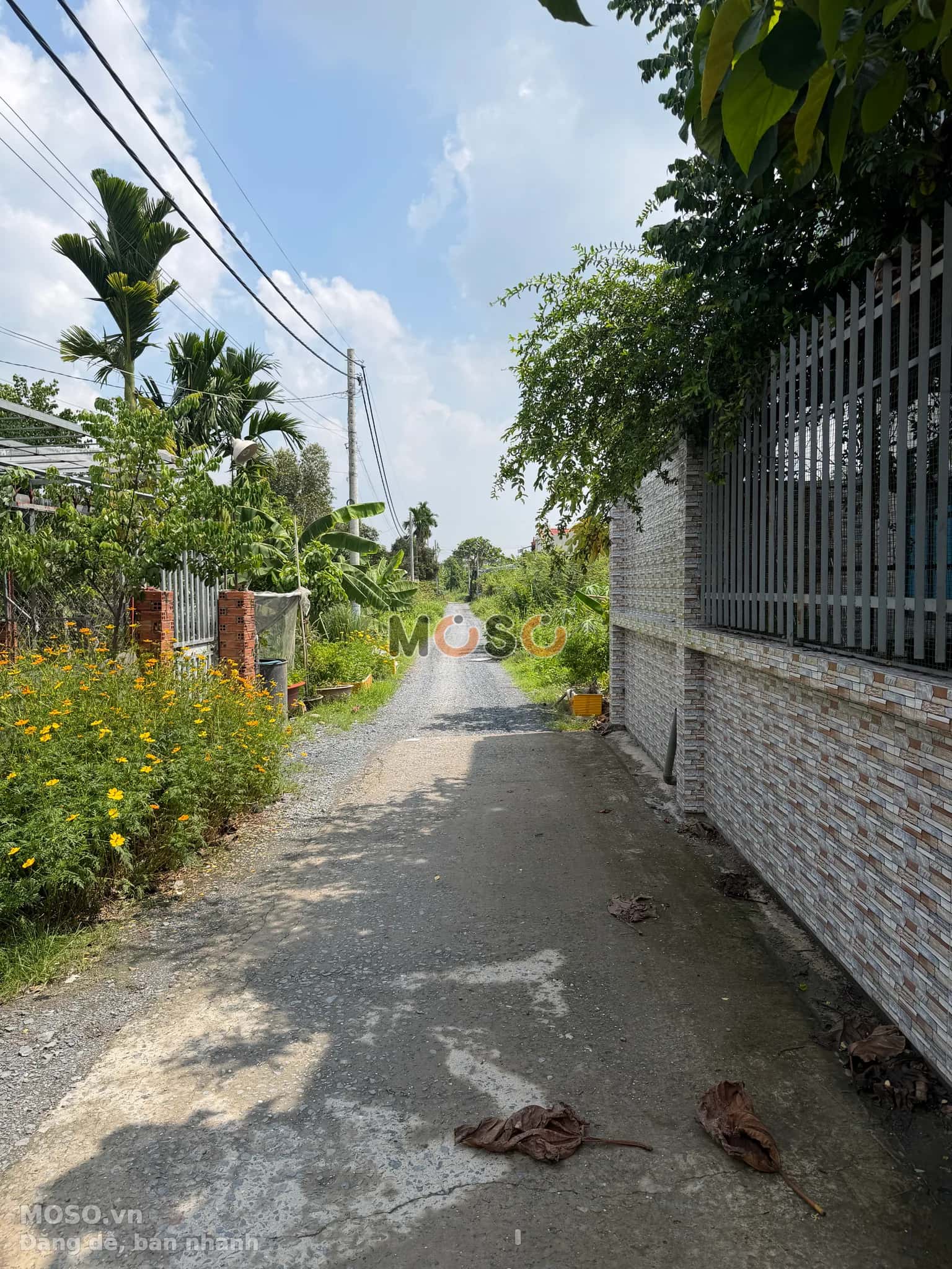 Bán đất Hẻm 2024 tỉnh lộ 8 Huyện Củ Chi, TP.HCM – giá 12 tỷ - ảnh 7