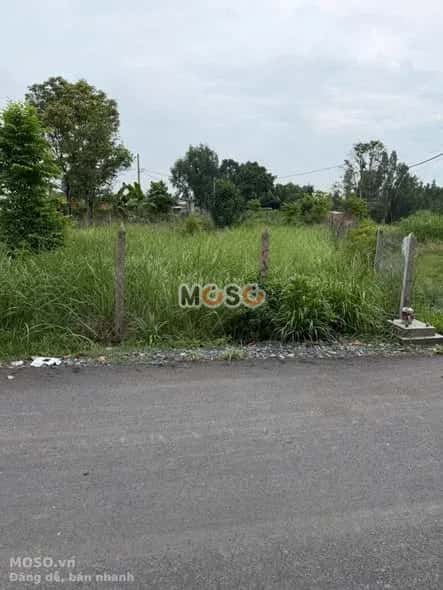 Bán đất Nguyễn Thị My Huyện Củ Chi, TP.HCM – giá 2.8 tỷ - ảnh 1