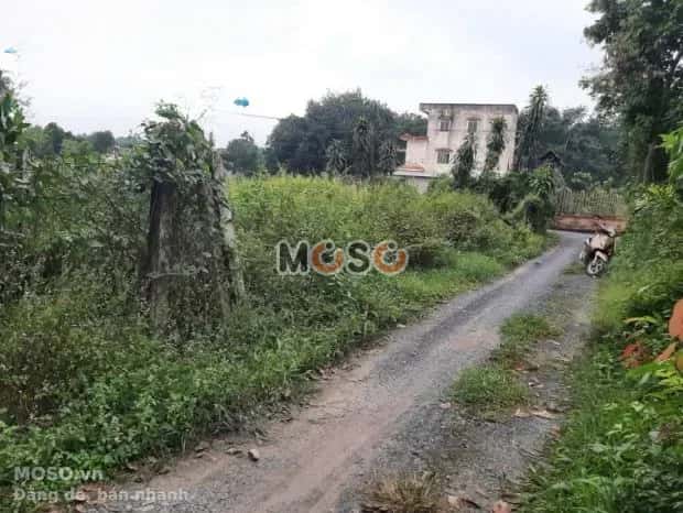 Cho thuê đất Phú Mỹ Huyện Củ Chi, TP.HCM – giá 12 triệu - ảnh 3