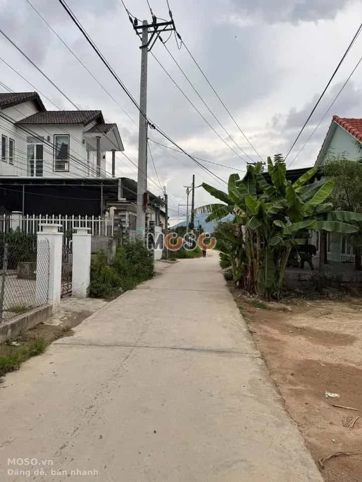 Bán đất Thôn Phong Ấp Thị xã Ninh Hòa, Khánh Hòa – giá 2 tỷ - ảnh 3