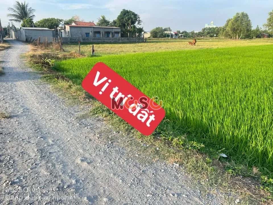 Bán đất Tỉnh lộ 825 Huyện Đức Hòa, Long An – giá 666 triệu - ảnh 1