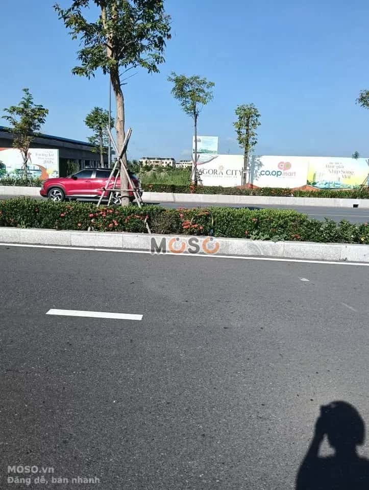 Bán đất đường 818, Agora City  Huyện Thủ Thừa, Long An – giá 3.3 tỷ - ảnh 3