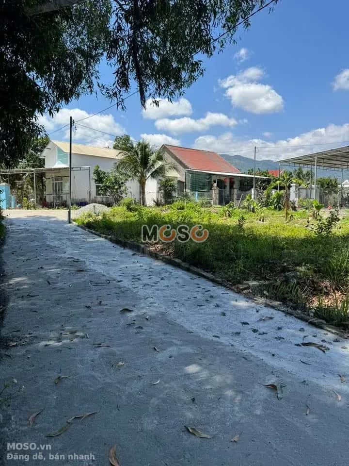 Bán đất  Thôn Tân Thành Huyện Diên Khánh, Khánh Hòa – giá 469 triệu - ảnh 3