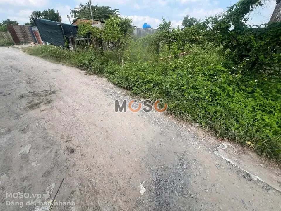 Bán đất Bình Mỹ Huyện Củ Chi, TP.HCM – giá 2.2 tỷ - ảnh 3