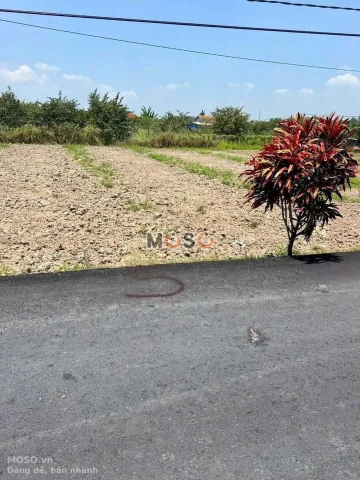 Bán đất ấp Bình Sơn  Huyện Châu Thành, Long An – giá 730 triệu - ảnh 2