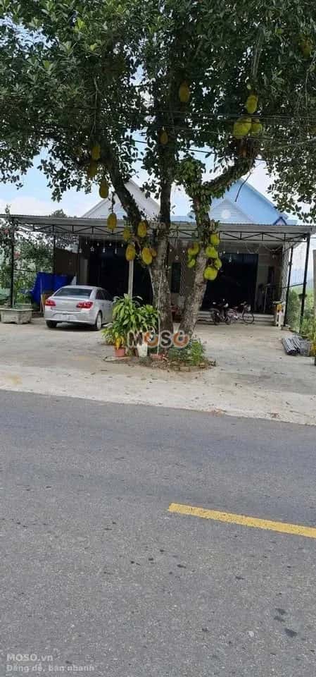 Bán đất Thôn Đông Lâm Huyện Hòa Vang, TP. Đà Nẵng – giá 2.5 tỷ - ảnh 3