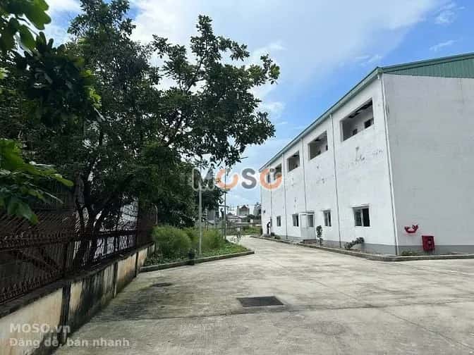 Cho thuê kho, nhà xưởng Đường 20 Thủ Đức, TP.HCM – giá 120 triệu - ảnh 4