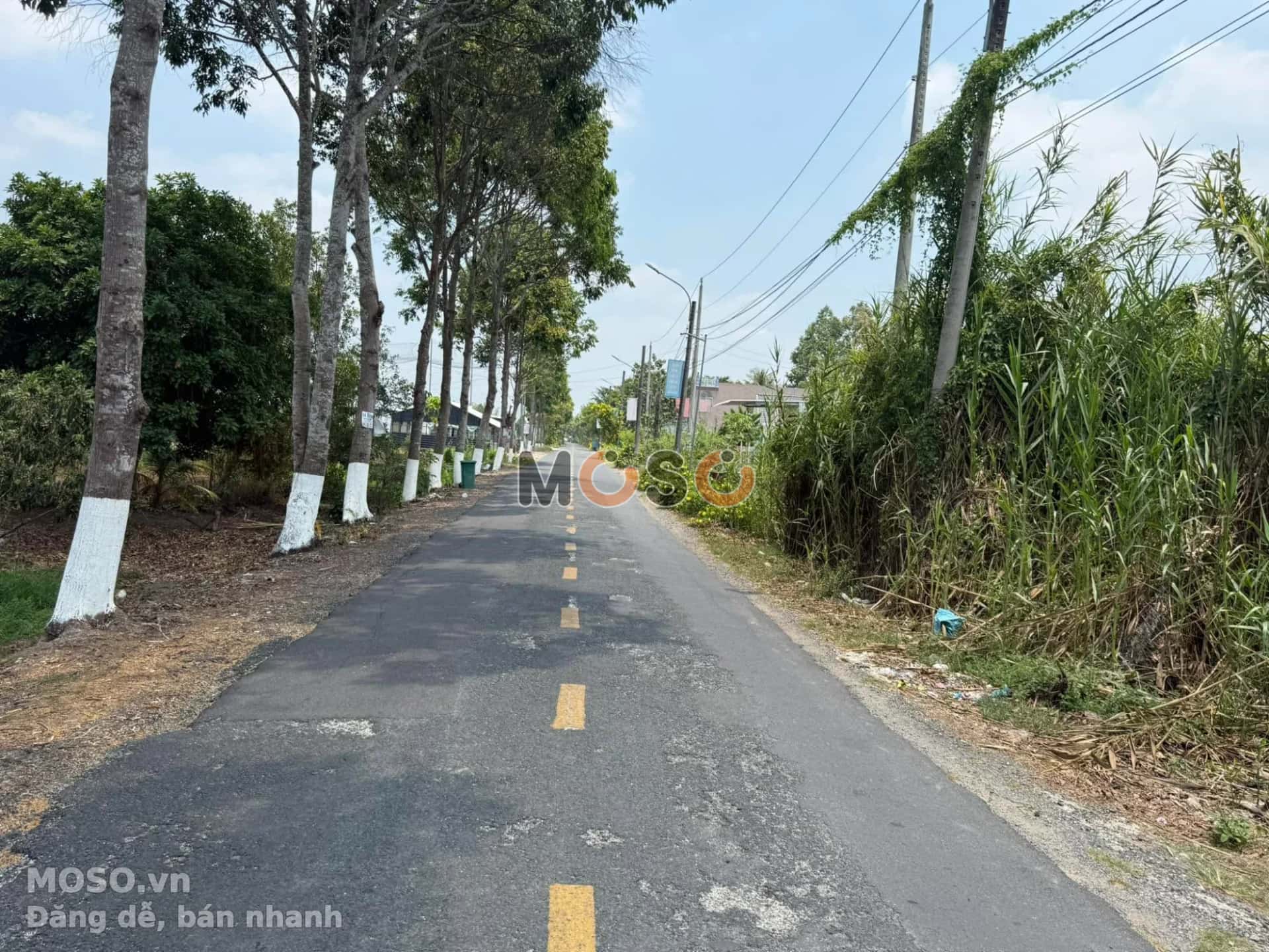 Bán nhà hẻm ấp Đông Hòa A Huyện Thới Lai, TP. Cần Thơ – 3 phòng ngủ, giá 3.5 tỷ - ảnh 6