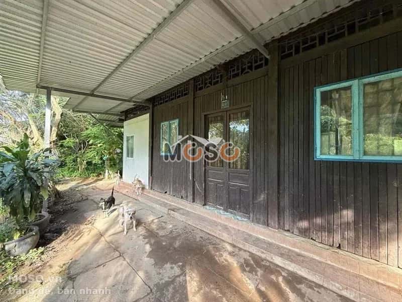 Cho thuê đất Quốc Lộ 50 Huyện Bình Chánh, TP.HCM – giá 12 triệu - ảnh 1
