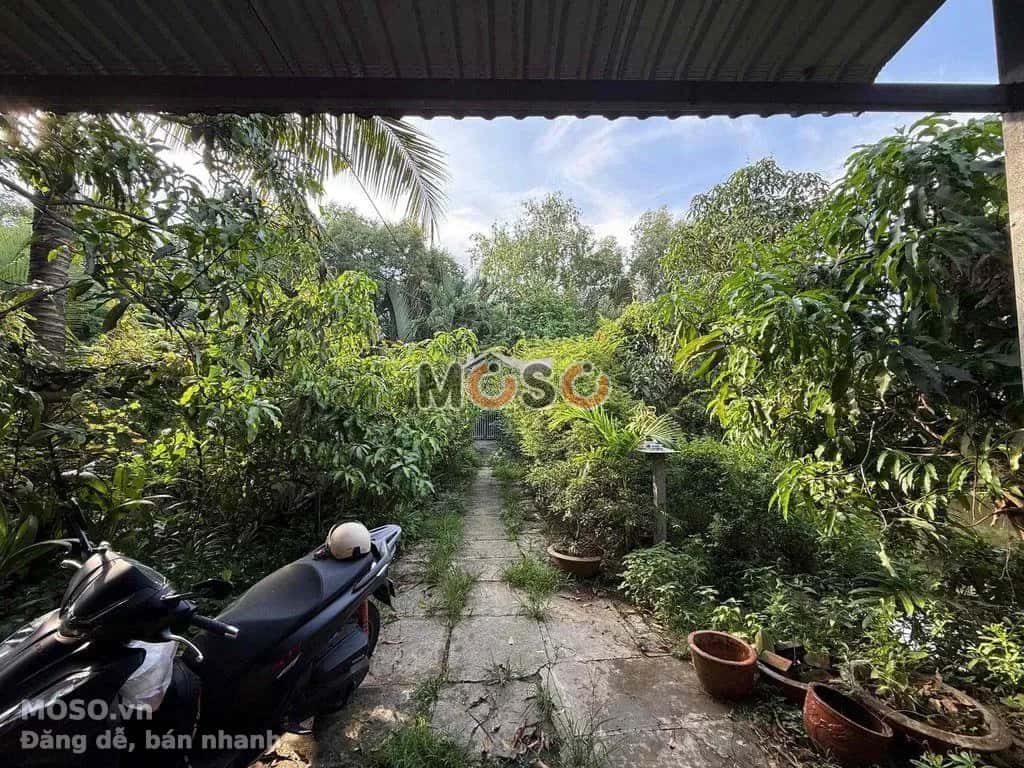 Cho thuê đất Quốc Lộ 50 Huyện Bình Chánh, TP.HCM – giá 12 triệu - ảnh 2