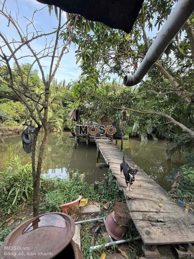 Cho thuê đất Quốc Lộ 50 Huyện Bình Chánh, TP.HCM – giá 12 triệu - ảnh 4