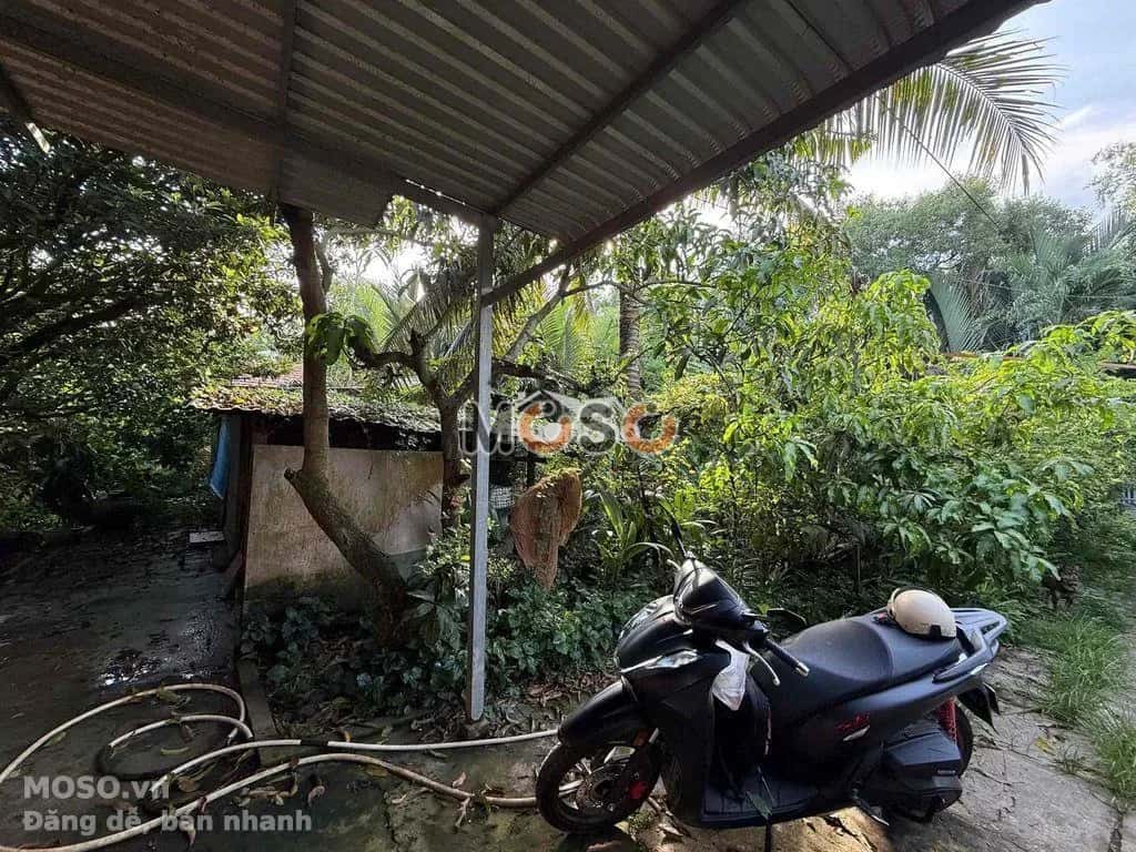 Cho thuê đất Quốc Lộ 50 Huyện Bình Chánh, TP.HCM – giá 12 triệu - ảnh 7
