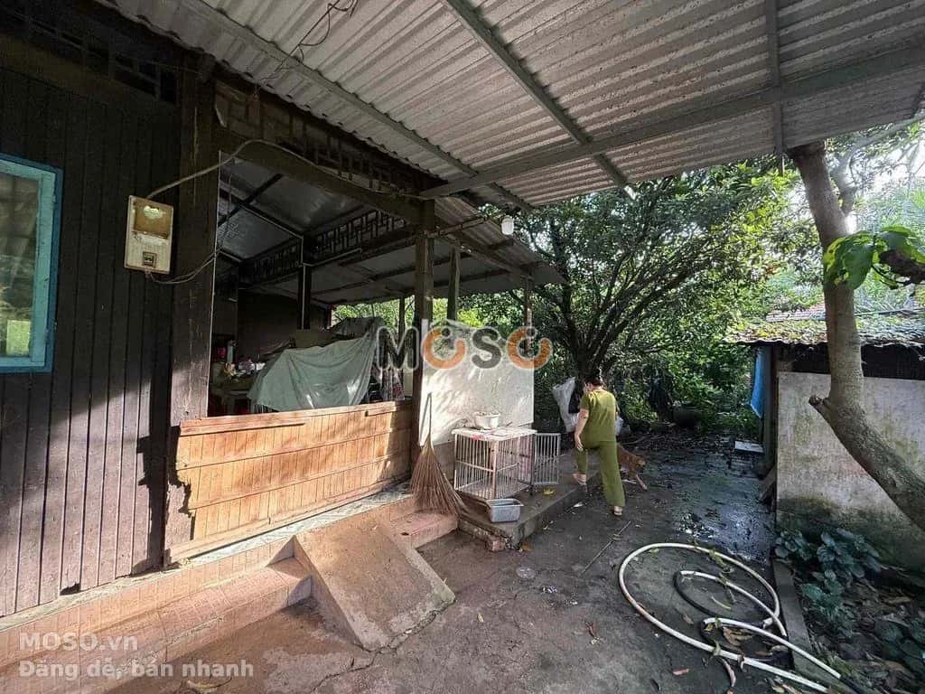 Cho thuê đất Quốc Lộ 50 Huyện Bình Chánh, TP.HCM – giá 12 triệu - ảnh 8