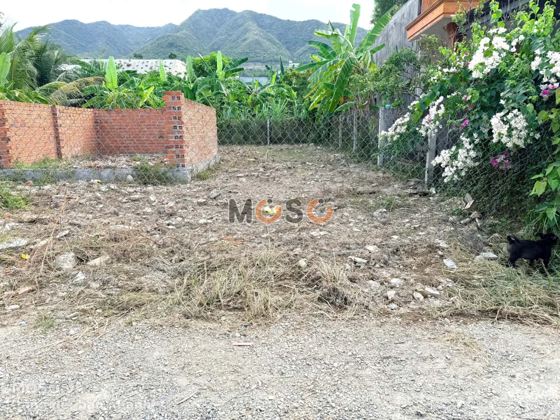 Bán đất TDP Đất Lành Thành phố Nha Trang, Khánh Hòa – giá 7.2 tỷ - ảnh 1