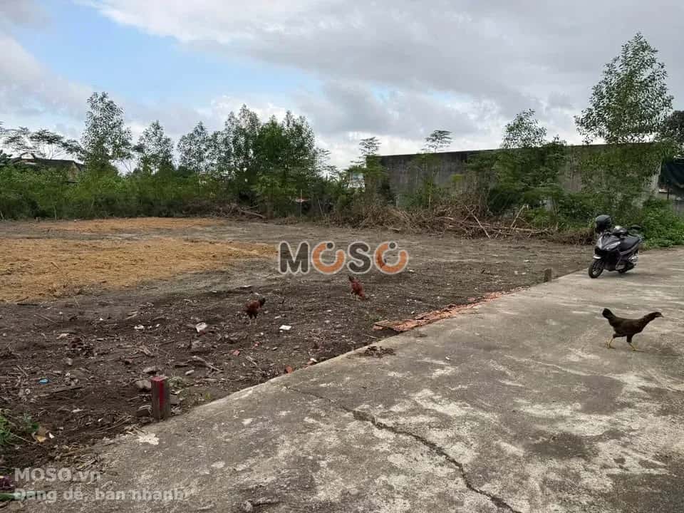 Bán đất Thôn Khương Mỹ Huyện Hòa Vang, TP. Đà Nẵng – giá 1.2 tỷ - ảnh 2